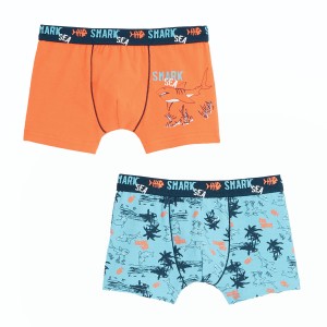 Boxer Et Slip Enfant Garcon Sous Vetements 2 10 Ans Petit Beguin