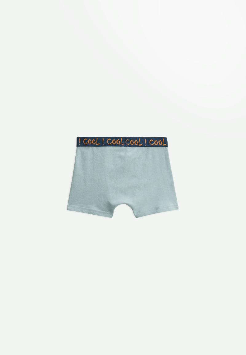 Lot de 2 boxers garçon Toucan