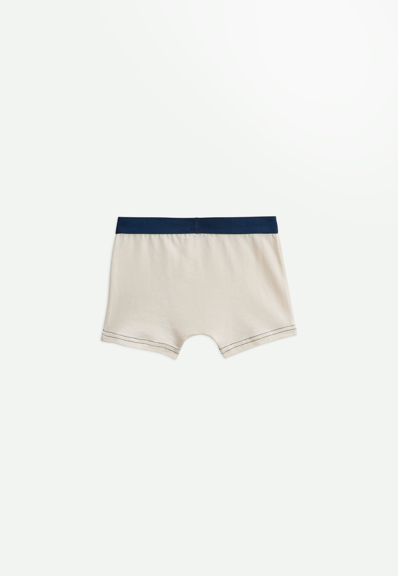 Lot de 2 boxers garçon Camou Grizzly